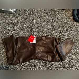 BRAND NEW SPANX SHINE TIGHTS!
